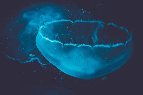 ★ — TEXTURES / COLORS | 100+ best free color, texture, wallpaper, and pattern photos on Unsplash