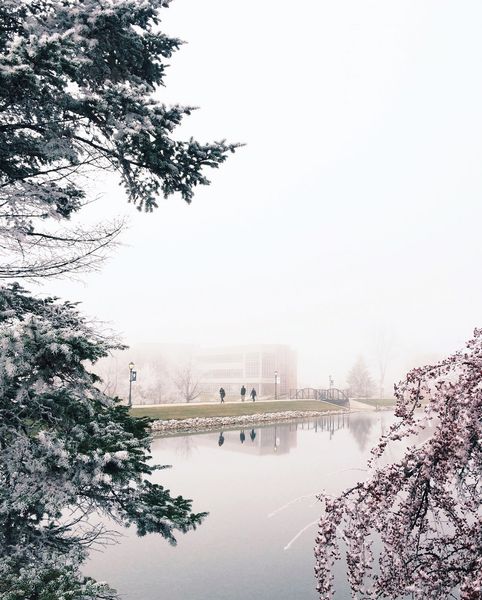 Light-Washed Tones | 100+ best free summer, white, sea, and minimal photos on Unsplash