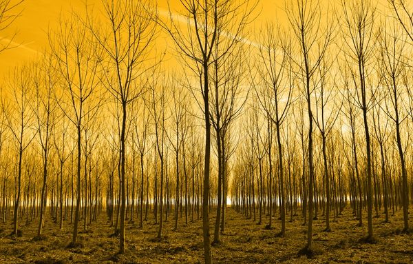 Think Yellow | 100+ best free yellow, color, wall, and orange photos on Unsplash