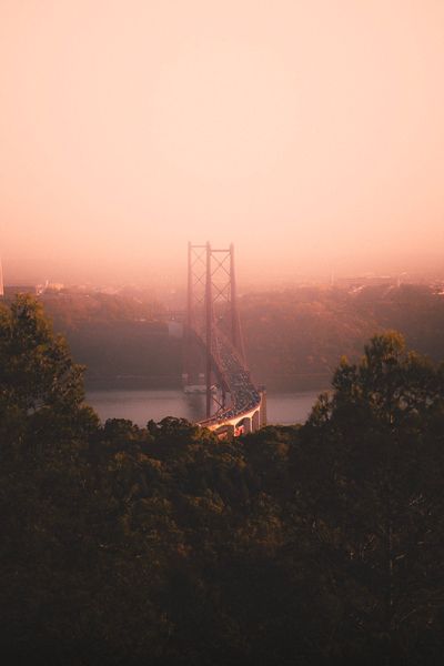 Millennial Pink | 43 best free pink, portrait, woman, and female photos on Unsplash