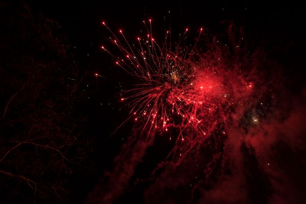 OLED Blackout | 66 best free oled, black, dark, and flower photos on Unsplash