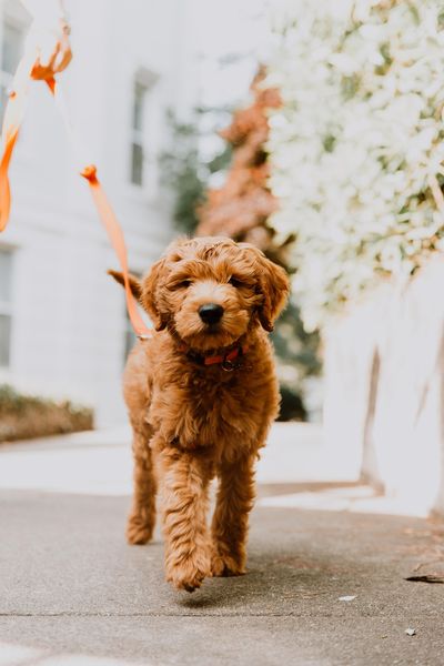 Beautiful Free Images & Pictures | Unsplash