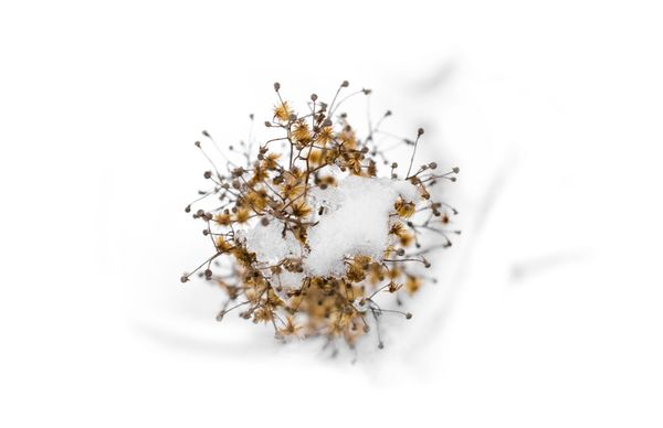 Light-Washed Tones | 100+ best free summer, white, sea, and minimal photos on Unsplash