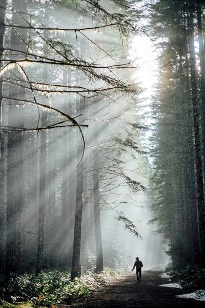 Rays+for+Days