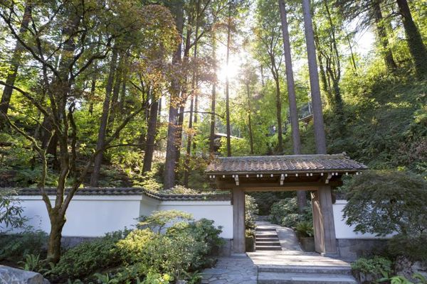 p12-portland-garden-a-20171216-870x580