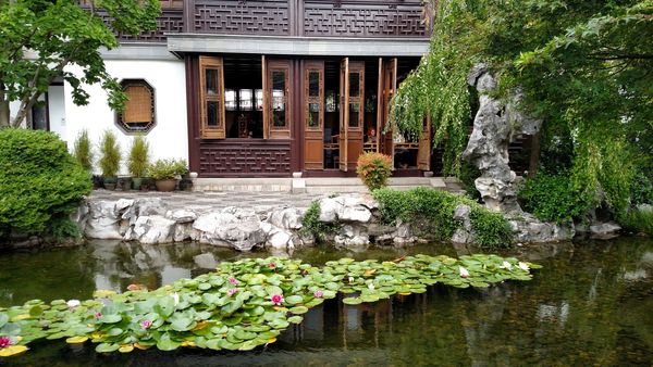 japanese-garden-in-portland-oregon