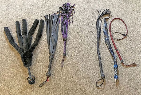 Toybag Tour, Thud vs. Sting: Floggers and Whips and Such