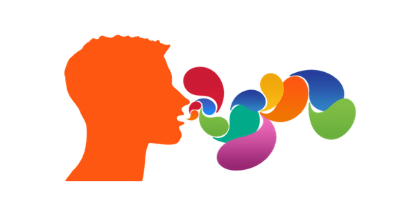 What Does Vetting Look Like?