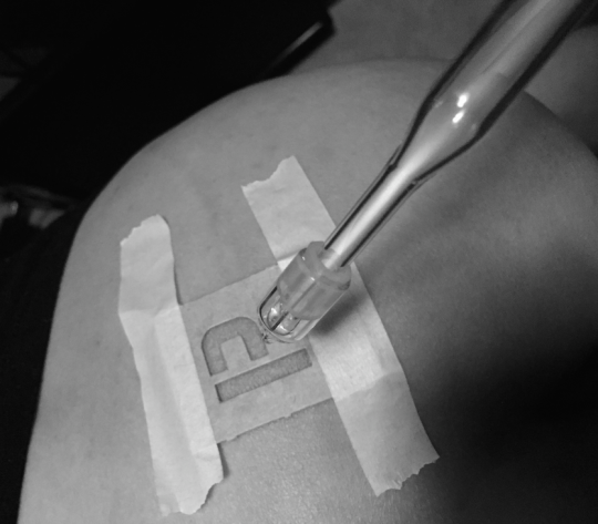 Violet Wand Branding