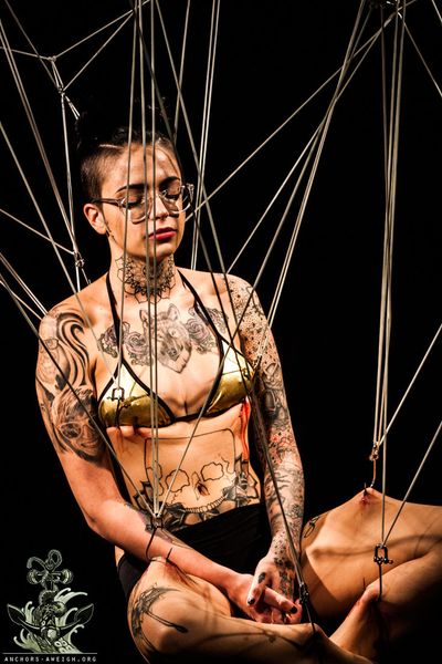 A Brief History of Human Suspension