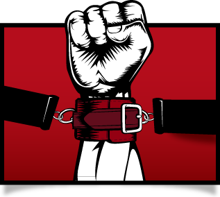 Beginner's Guide To Restraints