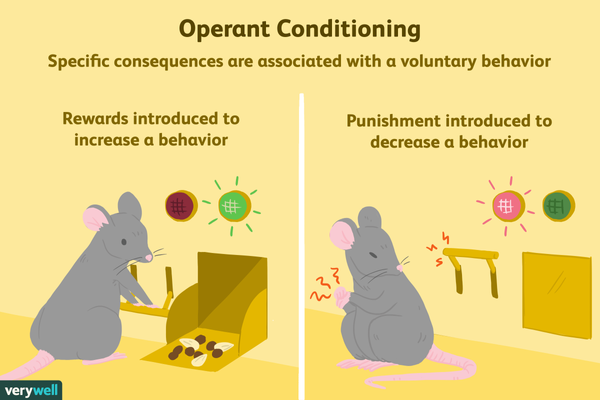 What Is Operant Conditioning and How Does It Work?