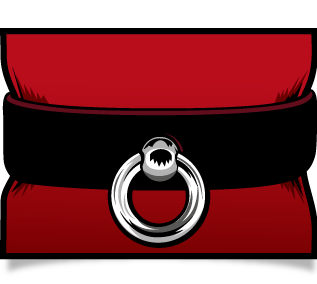 Beginner's Guide To Slave Collars