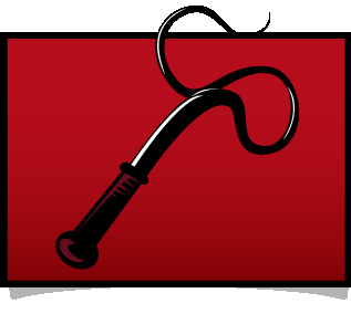 Beginner's Guide To Whips