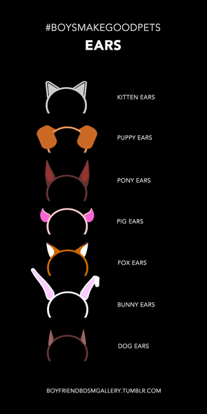 Types of Pet Ears