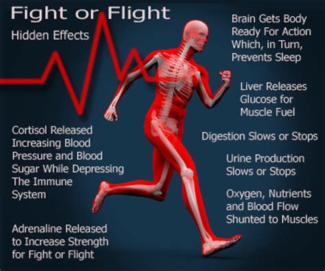 Good Info for the “Fight or Flight” Reaction after a Kinky Scene