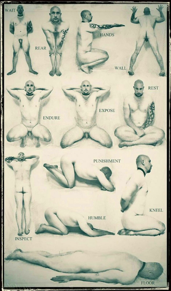 Slave Positions (male)