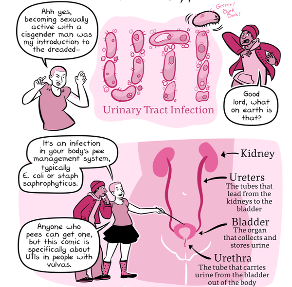 UTI: Urinary Tract Infection