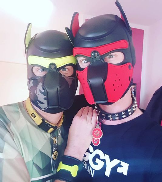 BDSM Basics - An Intro to Pet Play