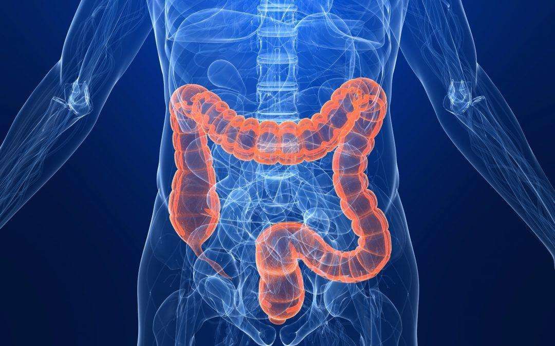 30 min Colon Clean Out