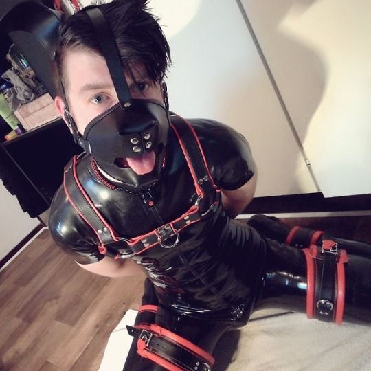 Pet Play Misconceptions