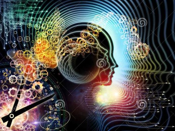 Endorphins and Adrenaline - What Science Really Says