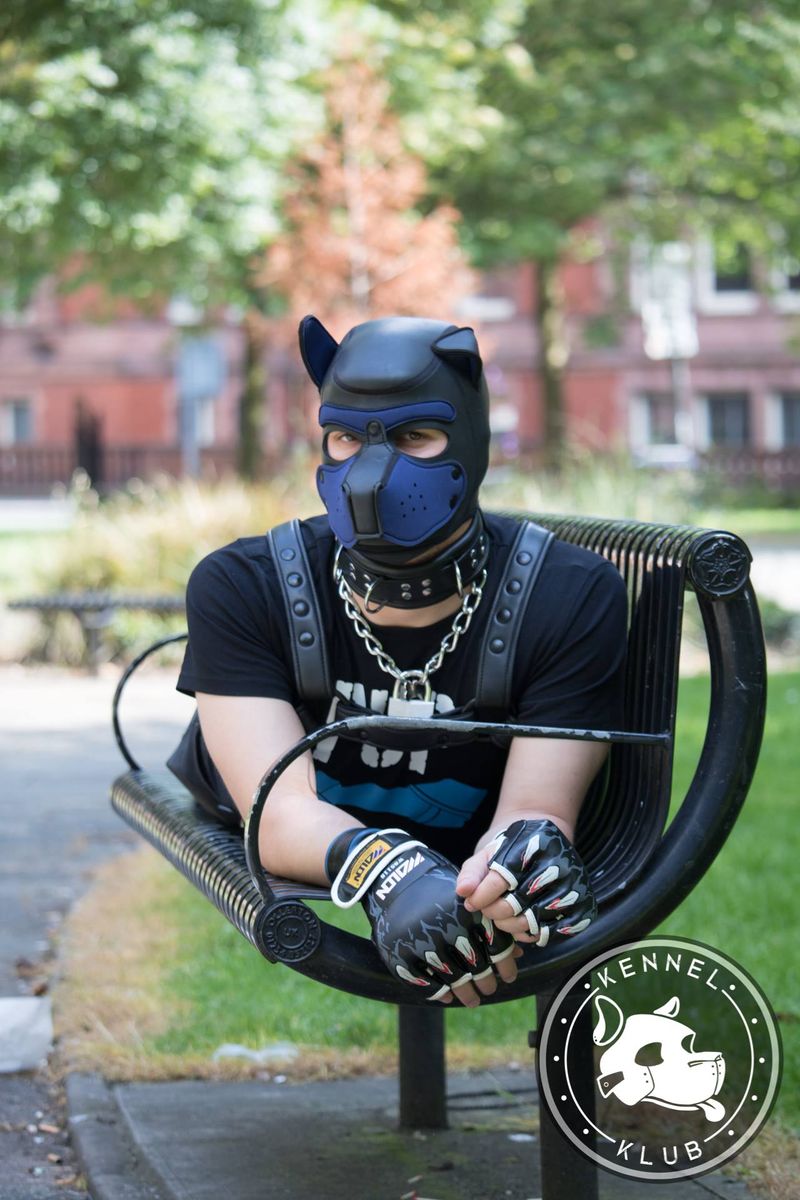 Pup Training