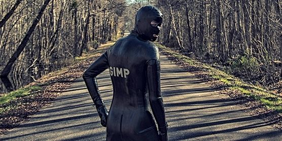 What is a Gimp?