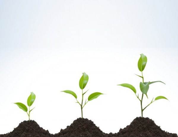 Limitations and Personal Growth