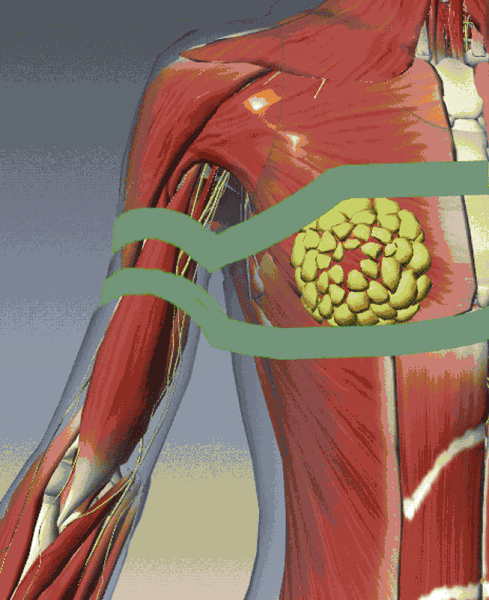Types of Ties and Rope Safety