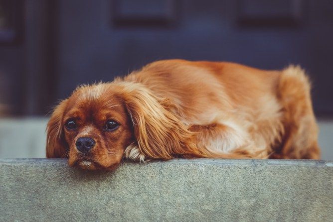 Acceptance, Kink Shaming, and Calling out Bad Behaviour