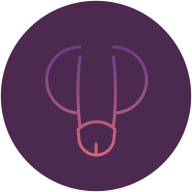 Male Genital Piercings