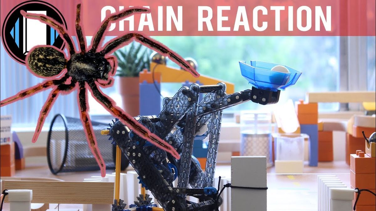 (7) SPIDER KILLING MACHINE - YouTube