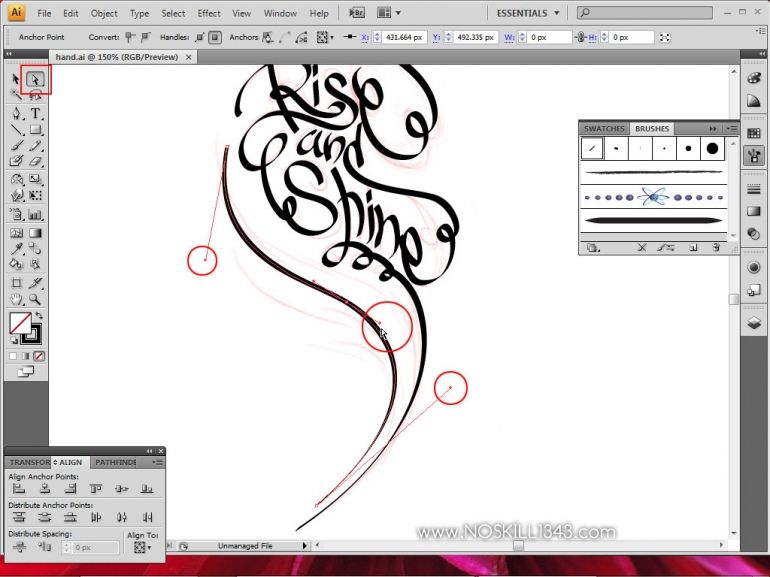 Calligraphy with Photoshop and Illustrator | Adobe Illustrator