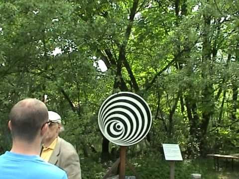 Rotating Disk - An Optical Illusion! - YouTube