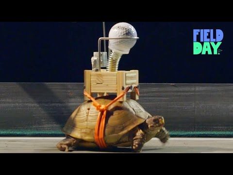 World's Slowest Rube Goldberg | Field Day Presents Bob Partington - YouTube