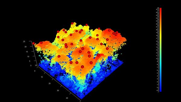 CHE206- Uso de sensores LiDAR para estimar variables de dosel en bosques templados de Nanacamilpa, …
