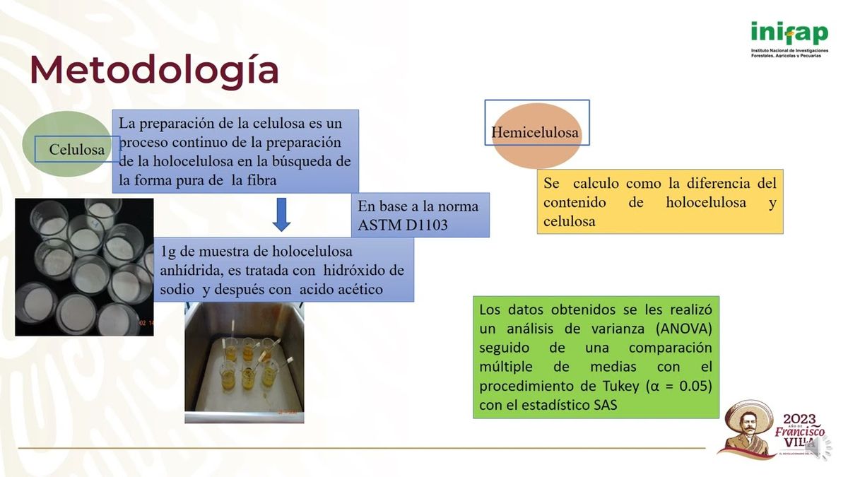 CYA051 - Componentes Químicos de la Madera de Dendropanax arboreus