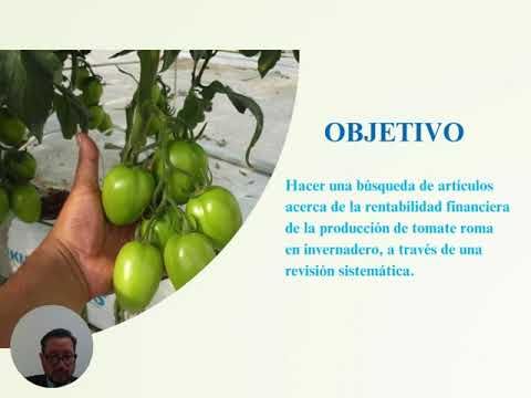 PBA138 - Revisión Sistemática de la Rentabilidad Financiera de la Producción de Tomate Roma en I…