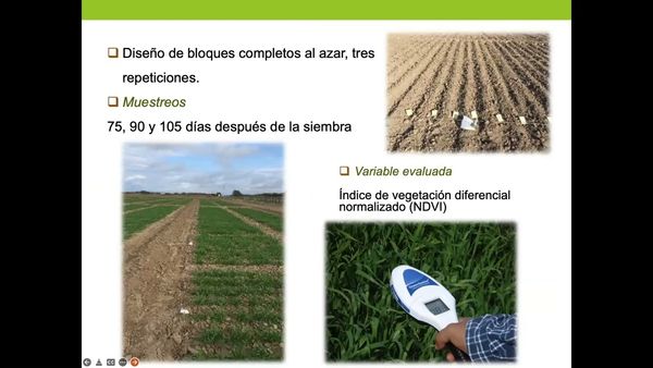 MOR363 - Superficie de Respuesta del Índice de Vegetación Diferencial Normalizado con Relación a…