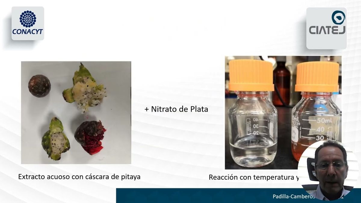 CHM136 - INIBICION DE CRECIMIENTO DE  Alicyclobacillus acidoterrestris CON NANOPARTICULAS DE PLATA