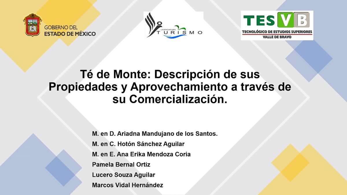 MOR249 - Té de Monte: Descripción de sus Propiedades y Aprovechamiento a través de su Comerciali…