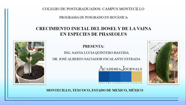 CHS050 - Crecimiento inicial del Dosel y de la Vaina en Especies de Phaseolus