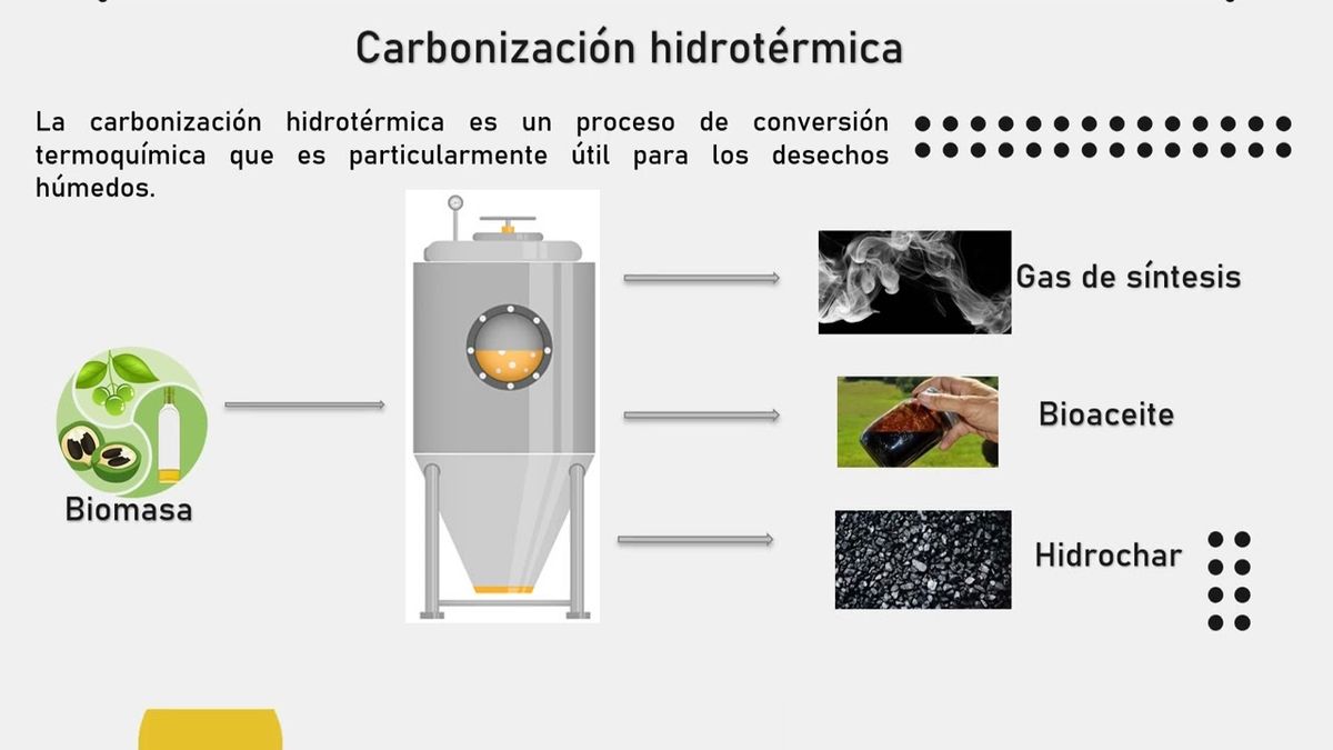 CEL313 - Obtención de un Bioenergético a Partir de un Residuo Orgánico Complejo mediante Carboni…