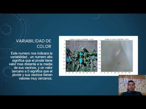 CLY325 - Evaluación de Redes de Neuronales Convolucionales preEntrenadas bajo Diferentes Variacion…