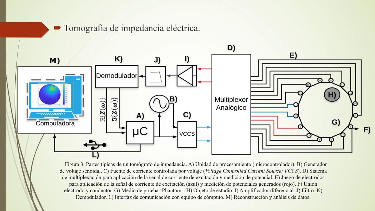 CCC-175 - APLICACIONES DE LAS MEDICIONES DE ESPECTROSCOPIA DE IMPEDANCIA ELÉCTRICA