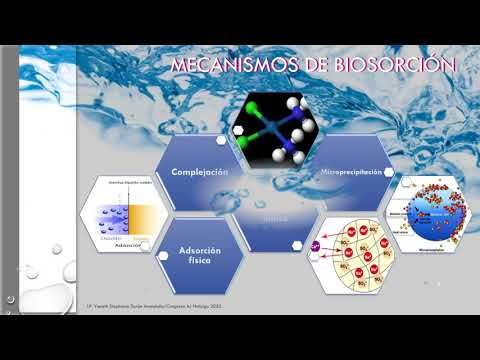 H186 - BIOSORCIÓN DE METALES PESADOS DESDE SOLUCIONES ACUOSAS