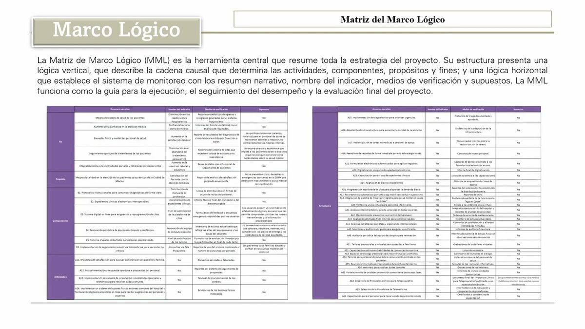 MED046 - Metodología del Marco Lógico para Diseño de Política Pública que Mejore la Atención …