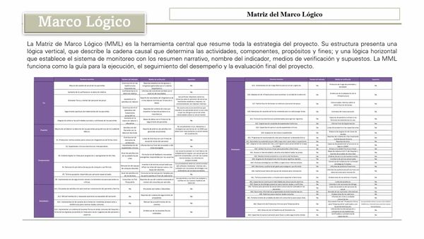 MED046 - Metodología del Marco Lógico para Diseño de Política Pública que Mejore la Atención …