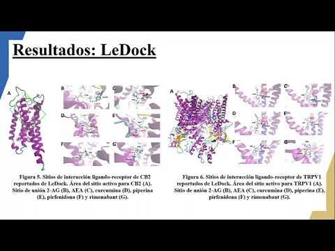 HLG259 - Evaluación in silico de Curcumina, Piperina, Anandamida, 2-araquidonil-glicerol, Pirfenid…